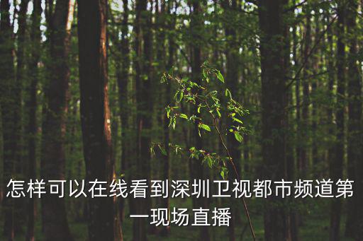 深圳電視臺在線直播，深圳衛視本振頻率