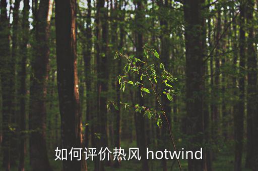 如何評價熱風(fēng) hotwind