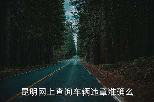 昆明網上查詢車輛違章準確么