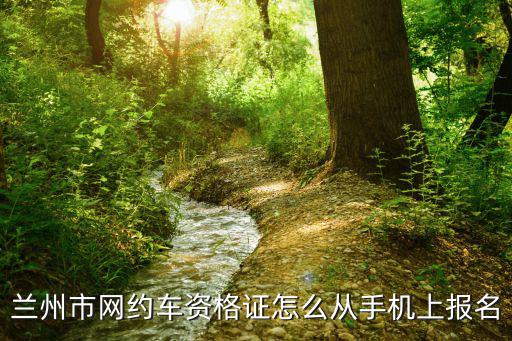 蘭州市網(wǎng)約車資格證怎么從手機(jī)上報名