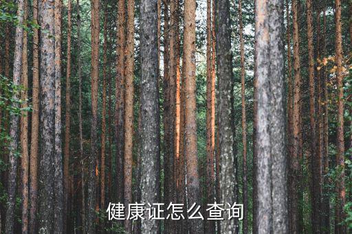 健康證查詢，健康證怎么查詢