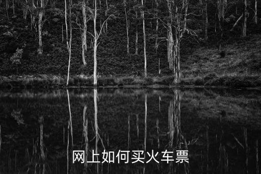 網上如何買火車票