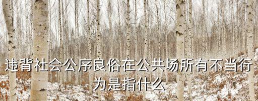 違背社會公序良俗，違背社會公序良俗在公共場所有不當行為是指什么