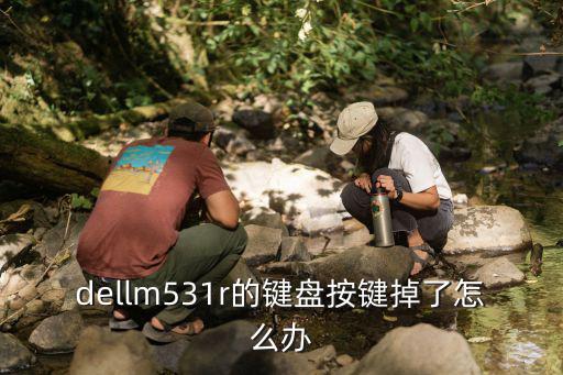 dellm531r的鍵盤按鍵掉了怎么辦