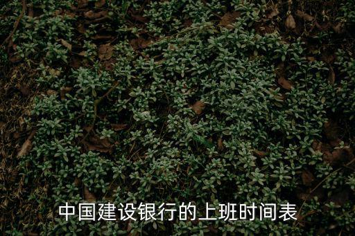 建行幾點上班，我想請問一下建設銀行一般早上幾點開門營業12月份我在深圳龍崗區