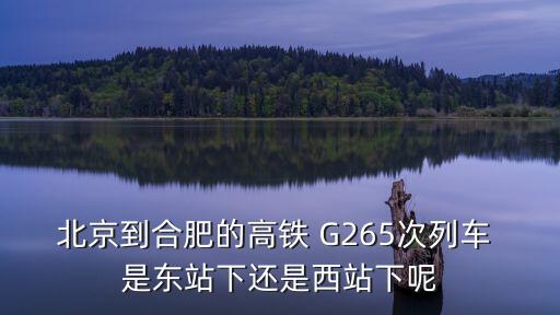 北京到合肥的高鐵，北京到合肥的高鐵 G265次列車 是東站下還是西站下呢