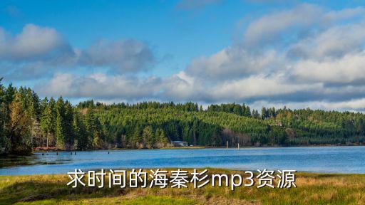 求時間的海秦杉mp3資源