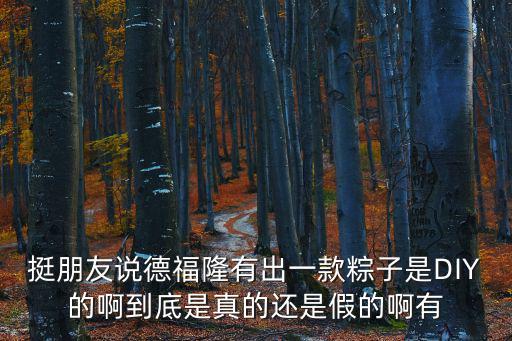 挺朋友說德福隆有出一款粽子是DIY的啊到底是真的還是假的啊有