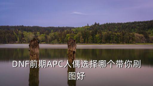 冰墩墩玩偶，DNF前期APC人偶選擇哪個帶你刷圖好