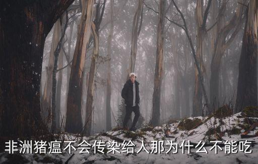 非洲豬瘟不會傳染給人那為什么不能吃