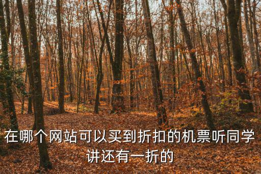 在哪個網站可以買到折扣的機票聽同學講還有一折的