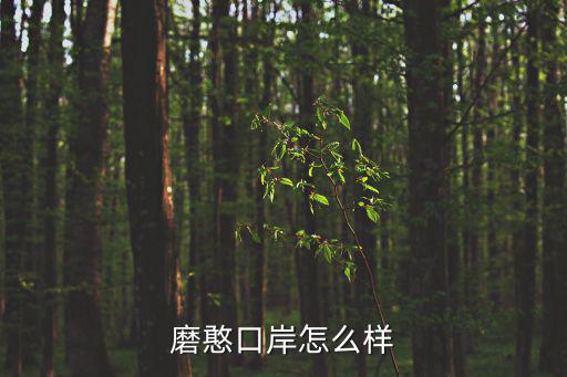 磨憨口岸怎么樣