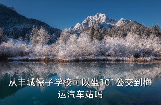 從豐城儒子學校可以坐101公交到梅運汽車站嗎