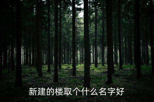 新建的樓取個什么名字好
