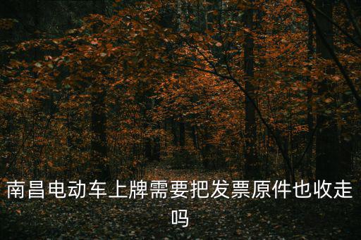 南昌電動車上牌需要把發票原件也收走嗎