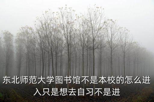 東北師范大學圖書館不是本校的怎么進入只是想去自習不是進