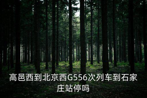 高邑西站，高邑西到北京西G556次列車到石家莊站停嗎