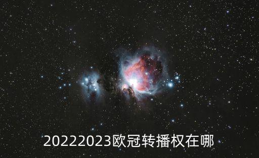 20222023歐冠轉(zhuǎn)播權(quán)在哪