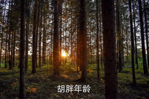 胡胖，大石橋胡胖多大年齡