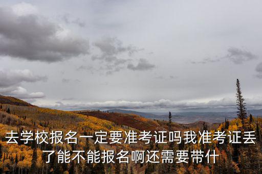 去學(xué)校報(bào)名一定要準(zhǔn)考證嗎我準(zhǔn)考證丟了能不能報(bào)名啊還需要帶什