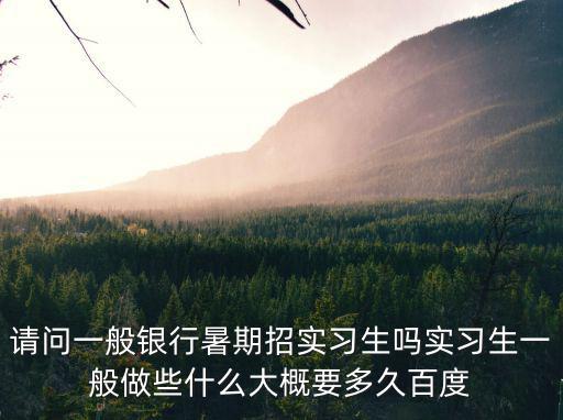 請問一般銀行暑期招實習生嗎實習生一般做些什么大概要多久百度