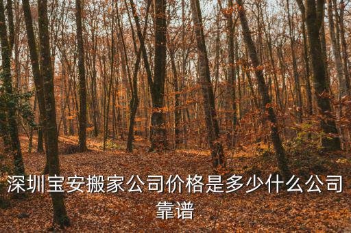 深圳寶安搬家公司價格是多少什么公司靠譜