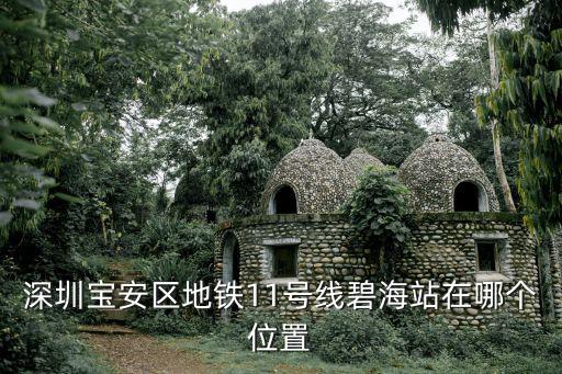 深圳寶安區(qū)地鐵11號線碧海站在哪個位置