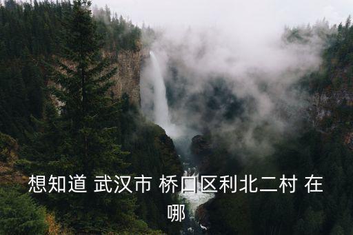 利北社區(qū)，沈陽(yáng)市和平區(qū)勝利北街365號(hào)歸哪個(gè)社區(qū)