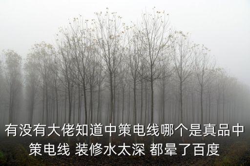 有沒有大佬知道中策電線哪個是真品中策電線 裝修水太深 都暈了百度