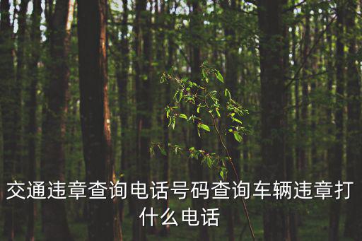 交通違章查詢電話號碼查詢車輛違章打什么電話