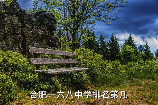 合肥一六八中學排名第幾