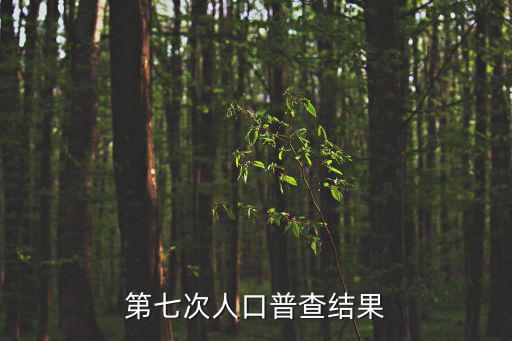 第七次人口普查結果，人口普查第七次