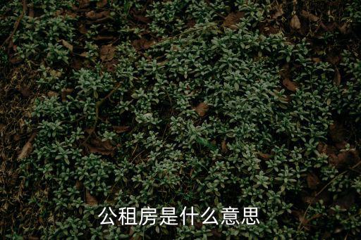公租房是什么意思
