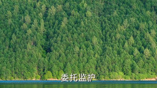 委托監(jiān)護