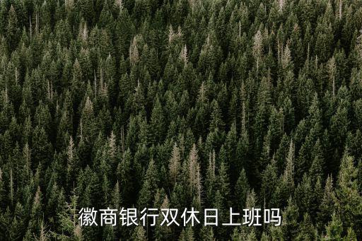 徽商銀行上班時間，蚌埠市義烏商貿城徽商銀行幾點上班