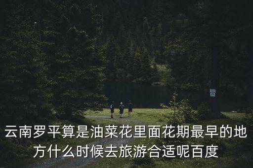 云南羅平算是油菜花里面花期最早的地方什么時候去旅游合適呢百度