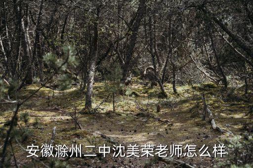 安徽滁州二中沈美榮老師怎么樣