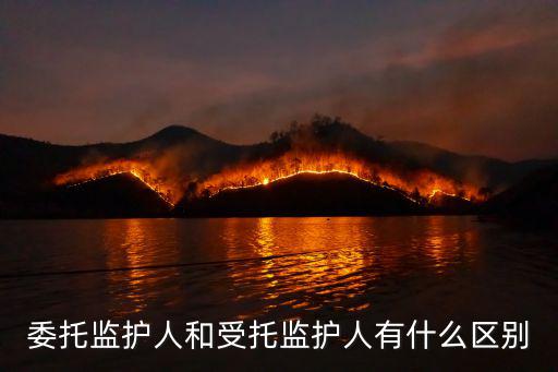 委托監(jiān)護人和受托監(jiān)護人有什么區(qū)別