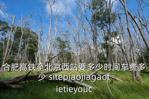 合肥高鐵至北京西站要多少時間車費多少 sitepiaojiagaotietieyouc