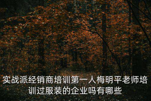 實戰派經銷商培訓第一人梅明平老師培訓過服裝的企業嗎有哪些