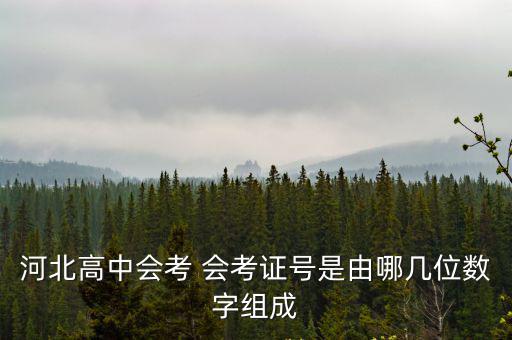 河北高中會考 會考證號是由哪幾位數字組成