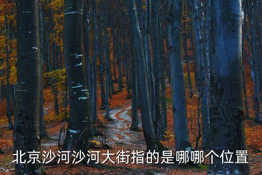 北京沙河沙河大街指的是哪哪個(gè)位置