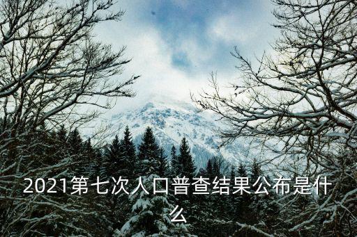 2021第七次人口普查結果公布是什么