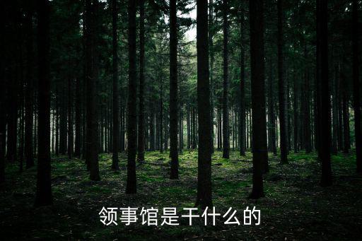 領事館是干什么的