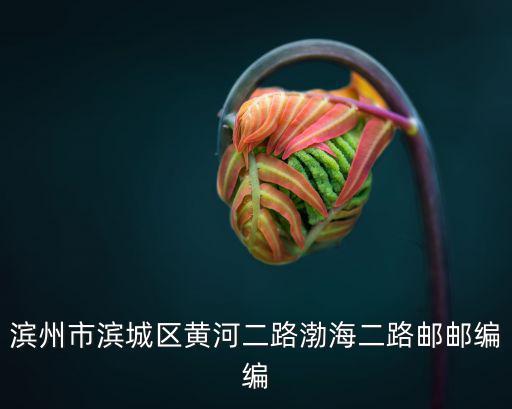 濱州市濱城區(qū)黃河二路渤海二路郵郵編編