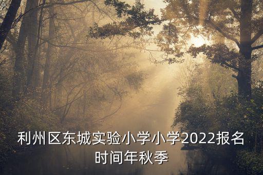東城實(shí)驗(yàn)小學(xué)，利州區(qū)東城實(shí)驗(yàn)小學(xué)小學(xué)2022報(bào)名時(shí)間年秋季
