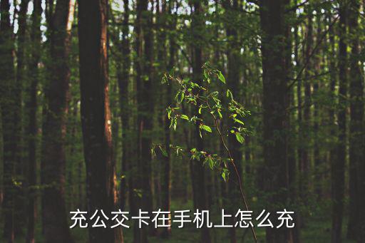 充公交卡在手機(jī)上怎么充