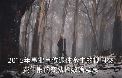 2015年事業單位退休金中的視同交費年限的交費指數啥意思