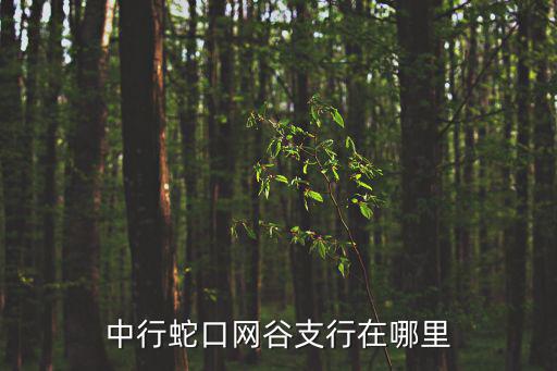 蛇口網谷，蛇口網谷萬聯大廈蘋果總部設在蛇口網谷嗎