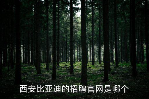 西安比亞迪的招聘官網是哪個